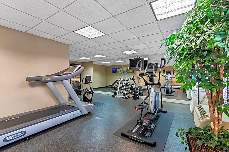 Comfort Inn & Suites Somerset