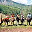 Comfort Inn & Suites Gunnison-Crested Butte