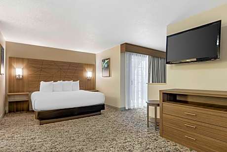 1 King Bed Non-Smoking Larger Room Balcony Wet Bar Microwave And Refrigerator Wi-Fi Full Breakfast