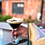 The Scole Hotel