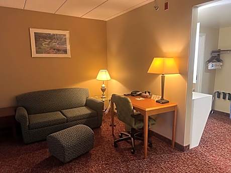 Suite-2 Queen Beds Non-Smoking Sofabed 2 Flat Screen Tvs Separate Living Area Microwave And Refriger