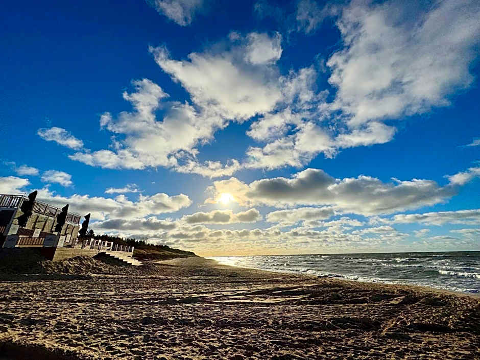 Palangos Dailė Self Check-in