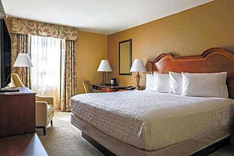 1 King Bed Nonsmoking