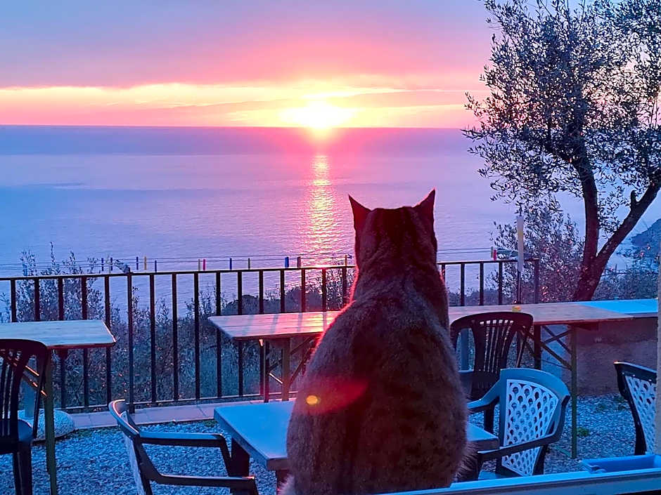 Perla del Levante Hostel