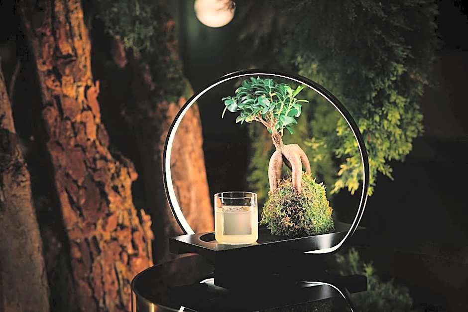 Radisson Blu Carlton Hotel, Bratislava