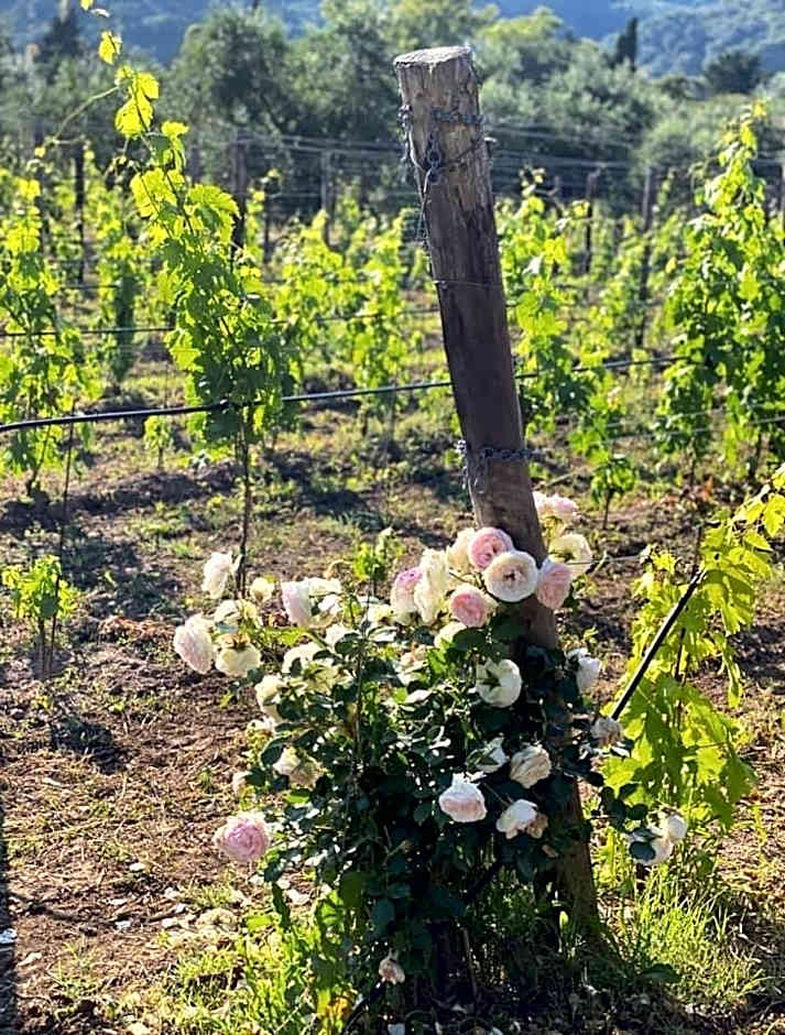 Casale Caterina Agriresort