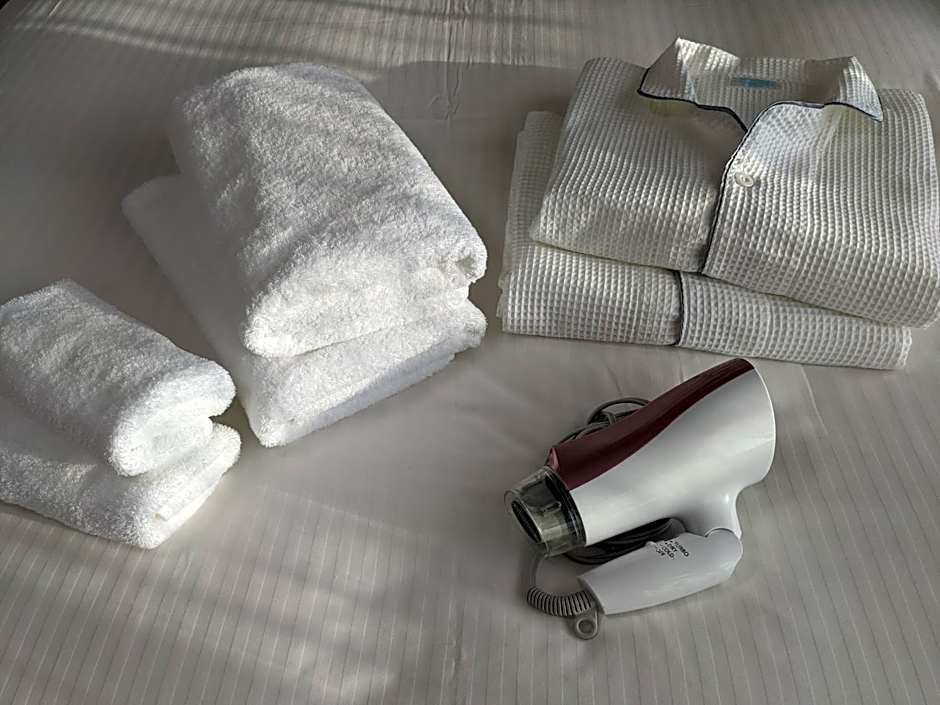 ESLEAD HOTEL Namba South Ⅱ