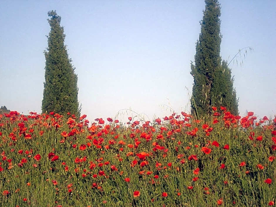 Domaine de Campras B&B