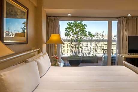 Suite con terraza