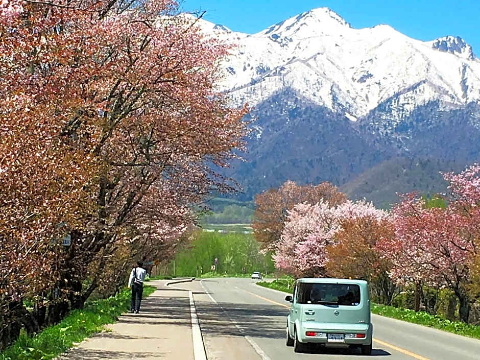 Furano - Hotel / Vacation STAY 35777