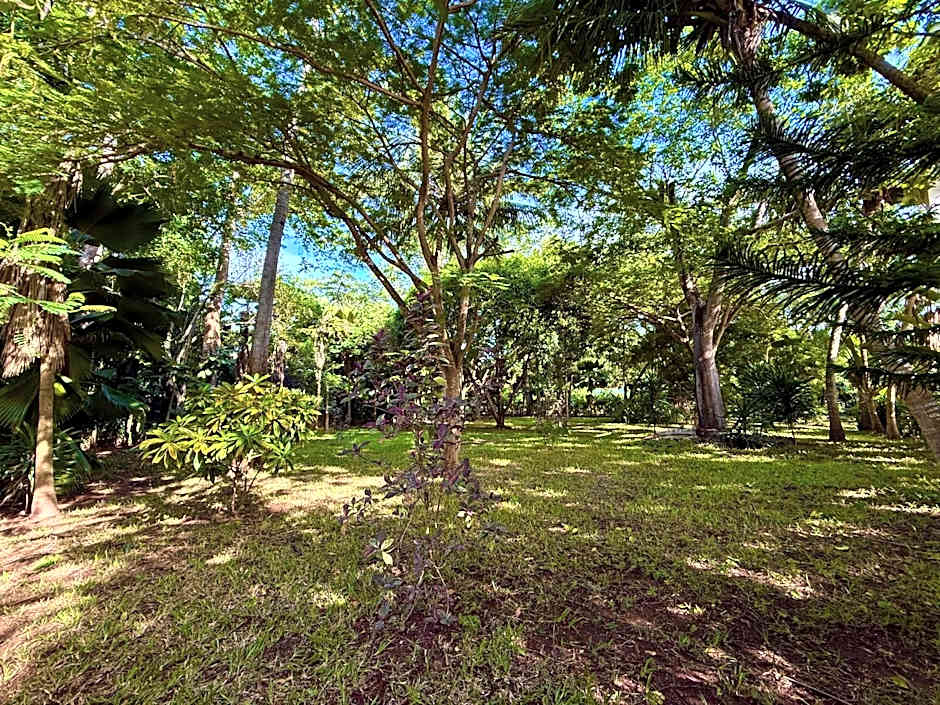 Galu Ecolodge - Diani Beach
