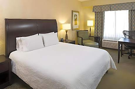 1 King Bed