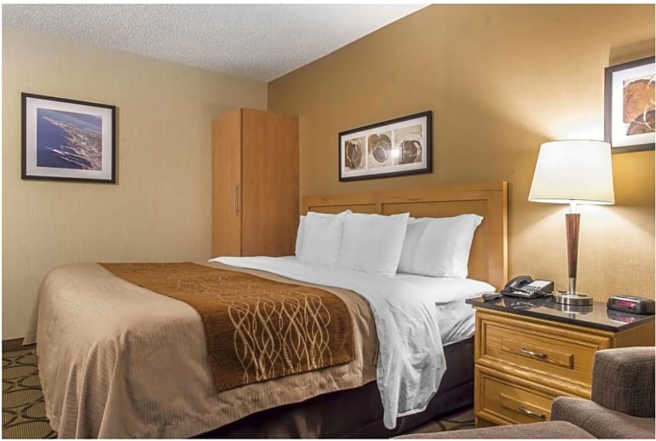 Photo 1 of 6 of 1 Queen Bed with Sofabed