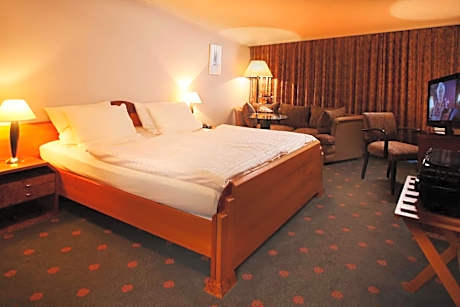 Comfort Double Room with Balcony for Single Use