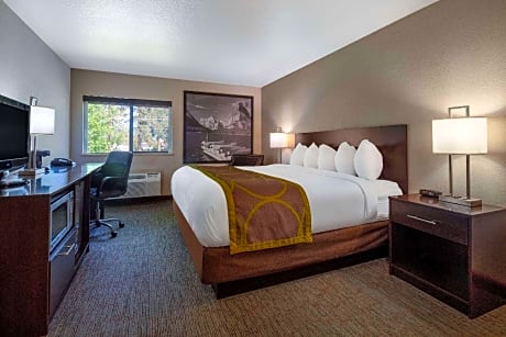 1 King Bed Non-Smoking