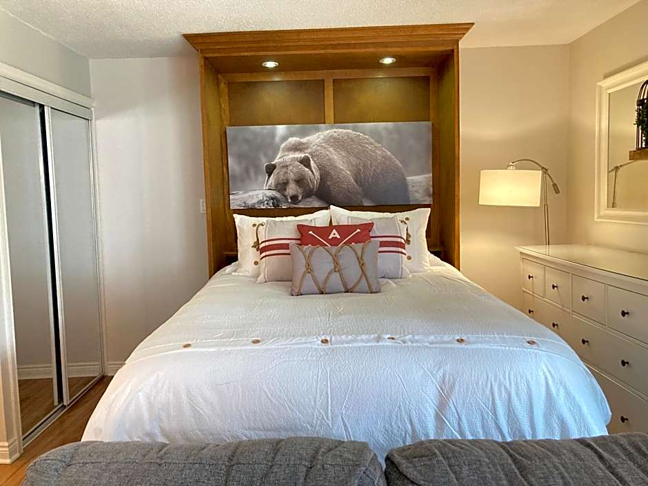 Modern Mountainside Ski In/Ski Out Studio at Blue