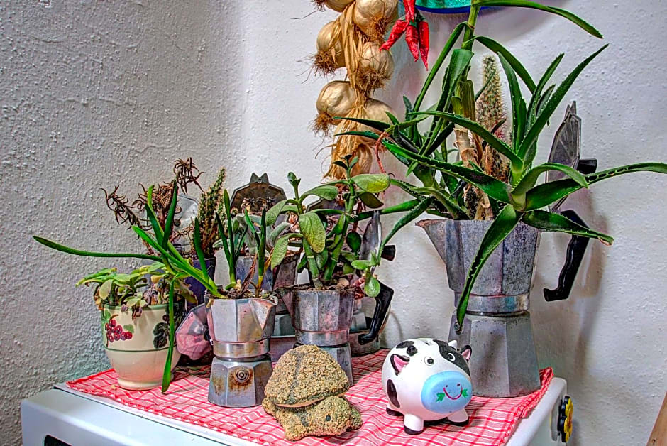 Lacco Terrace Solarium