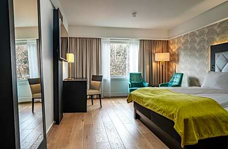 Handicap Friendly Room