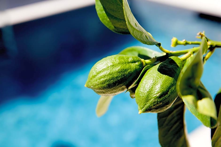 Maison d’hôtes Les Ajoncs