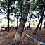 Villa Delle Palme