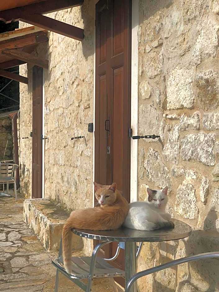 Country House Antiche Dimore