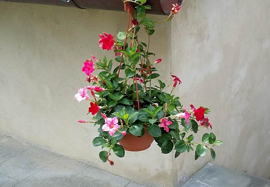 B&B Le Torri Di Firenze