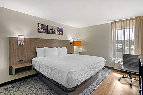 1 King Bed Nonsmoking Accessible