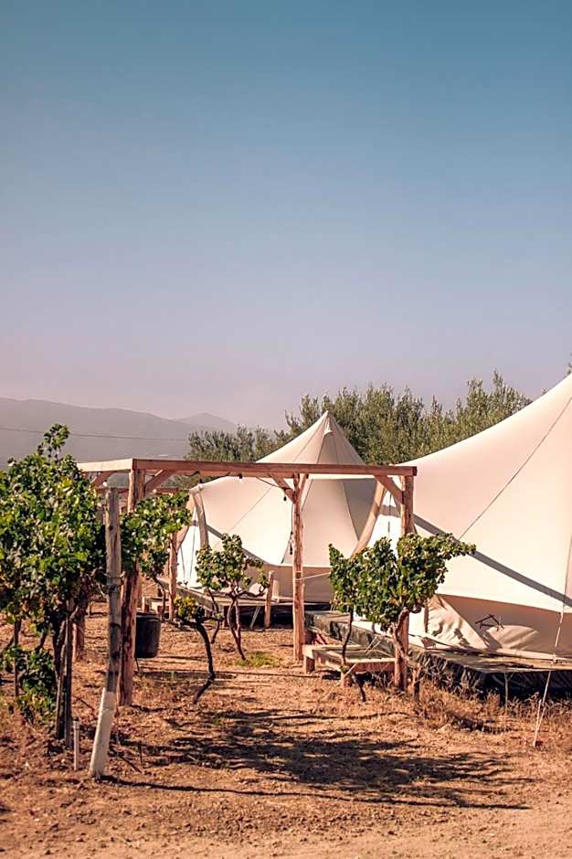 The Pangea Valle de Guadalupe