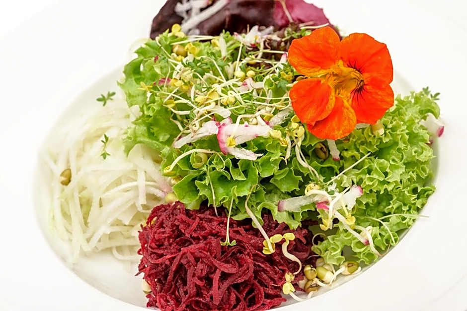 Berghüs Schratt - EINFACH ANDERS - Ihr vegetarisches und veganes Biohotel