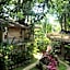 Roots Tree House