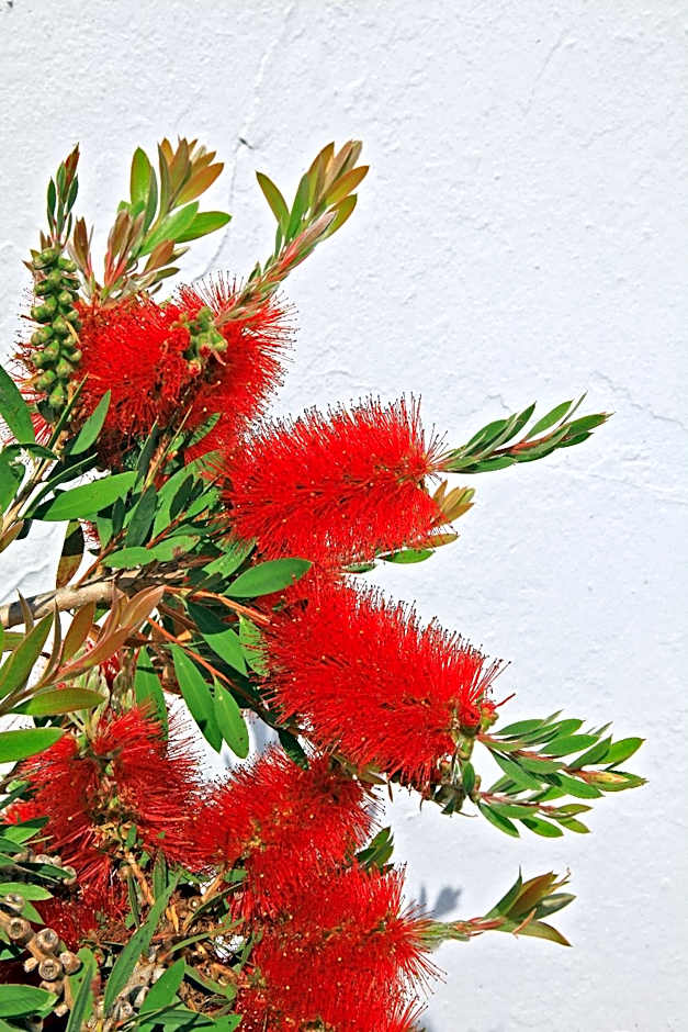 La Chaize - Villa, Suites & Spa