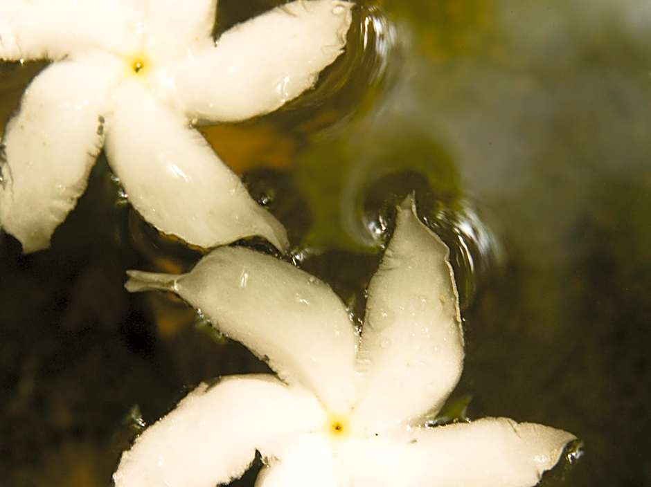 Mount Lodge Boutique Hotel