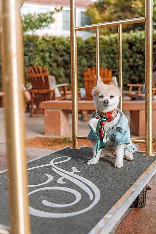 Fairmont Sonoma Mission Inn And Spa