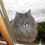 Castelir Suite Hotel