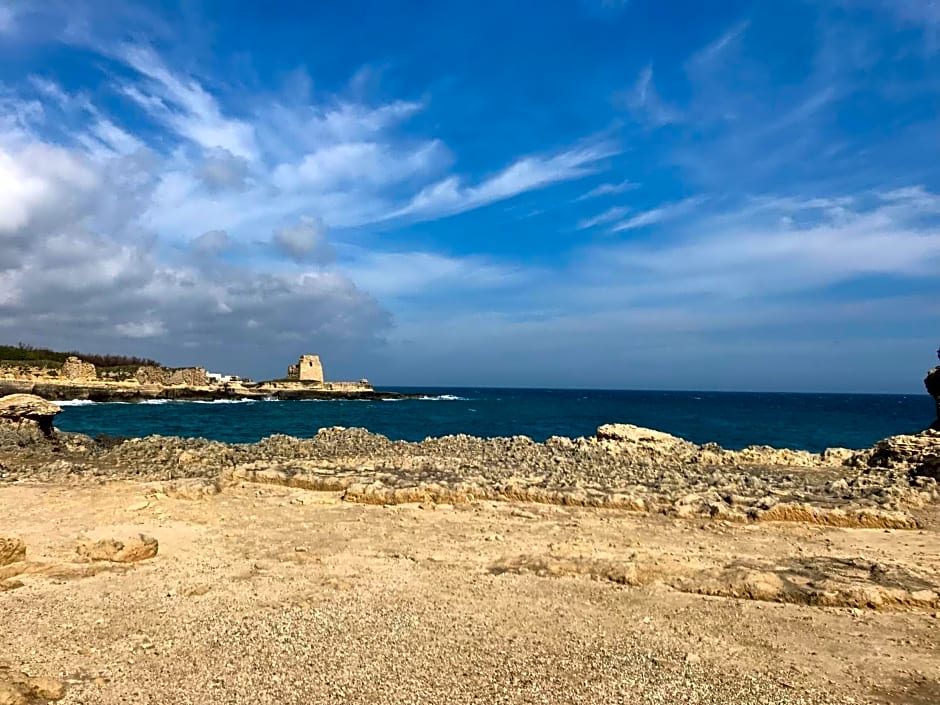 Piccolo Ulivo B&B Salento