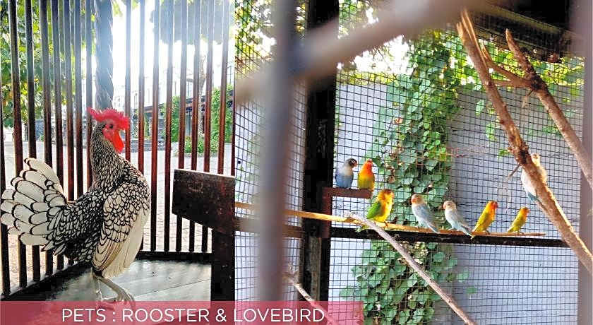 Ramada Suites By Wyndham Solo