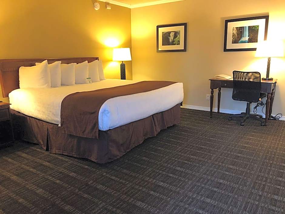 Best Western Lakewood