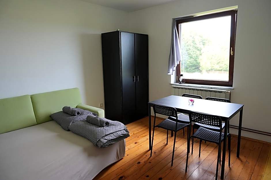 Rooms and apartments Biš