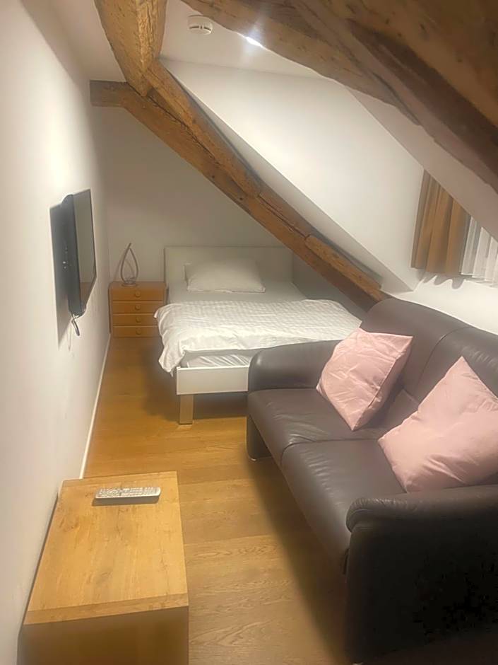 Aparthotel Splendid City Center