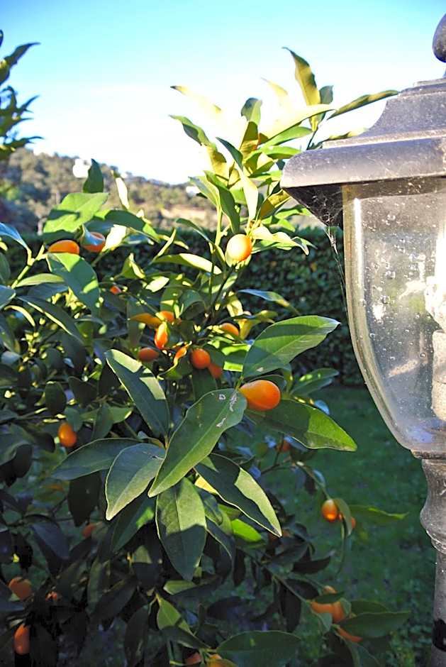 Le Relais Des Chartreuses