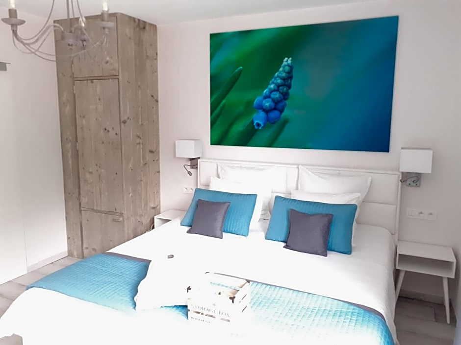 Luxe Vakantievilla - B&B Blue Garden Vlaamse Ardennen nabij Pairi Daiza