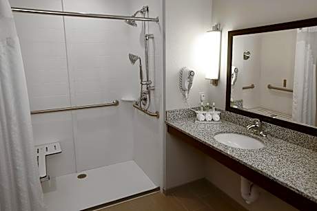 King Room with Roll-In Shower - Hearing Accessible