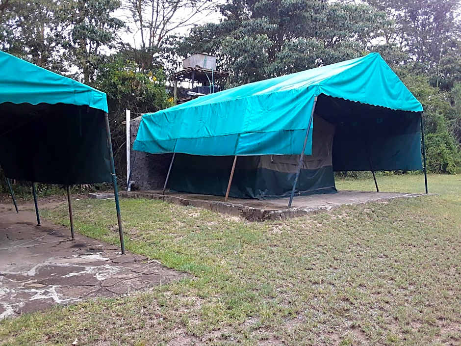Cactus Eco Camp and Lodge
