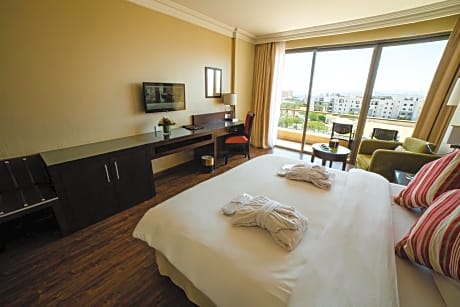 Deluxe City View Room