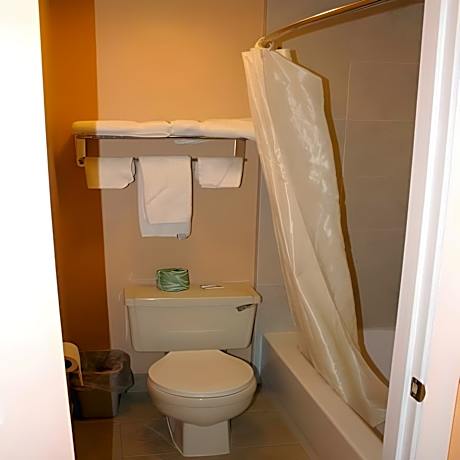 1 Queen Bed Nonsmoking