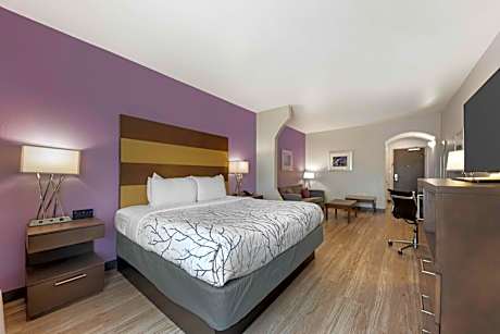 King Suite with Sofa Bed and Shower