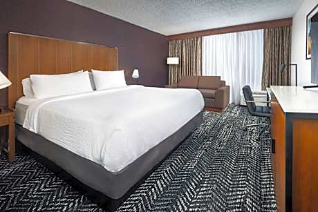Room, 1 King Bed