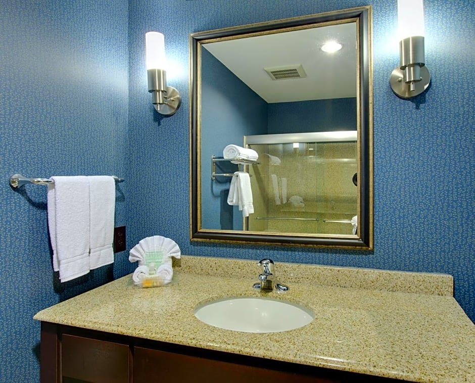 Holiday Inn Houston East-Channelview By IHG
