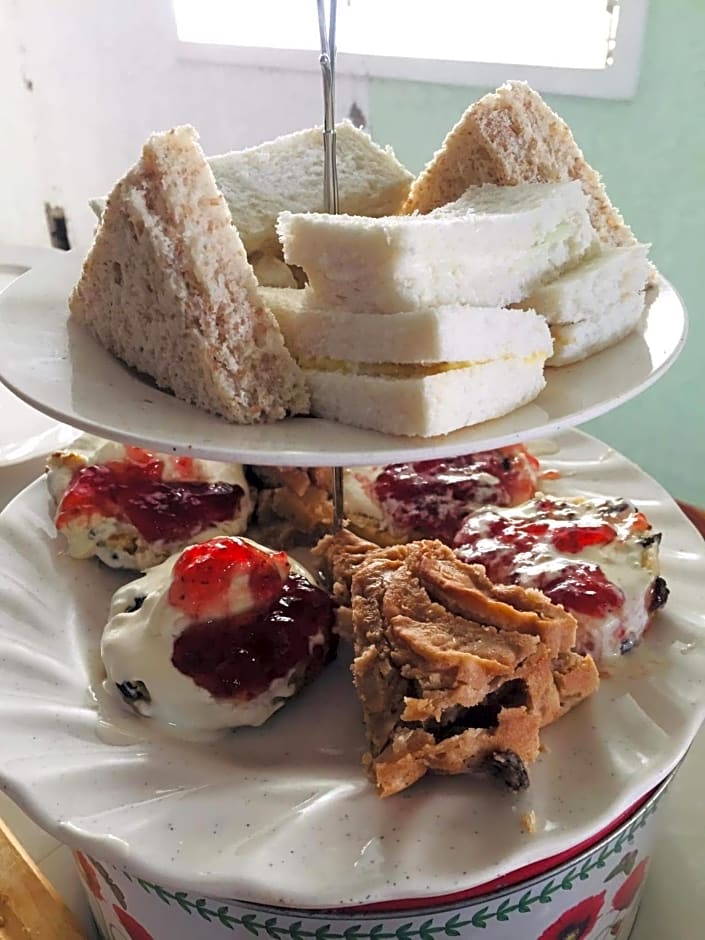 Sunbloom Beachfront Hotel and Restaurant Zambales