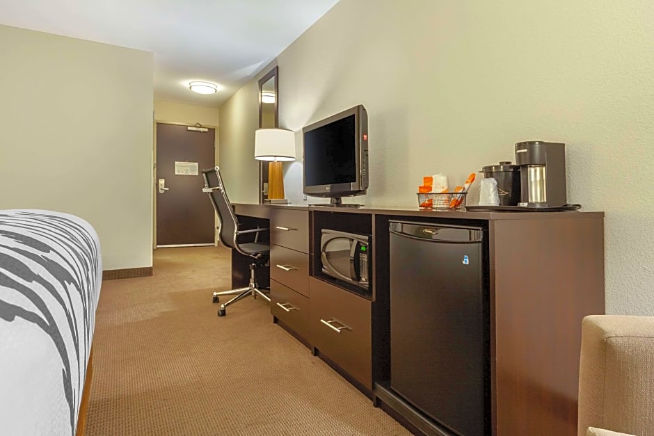 Photo 1 of 4 of 1 King Bed Suite, Accessible